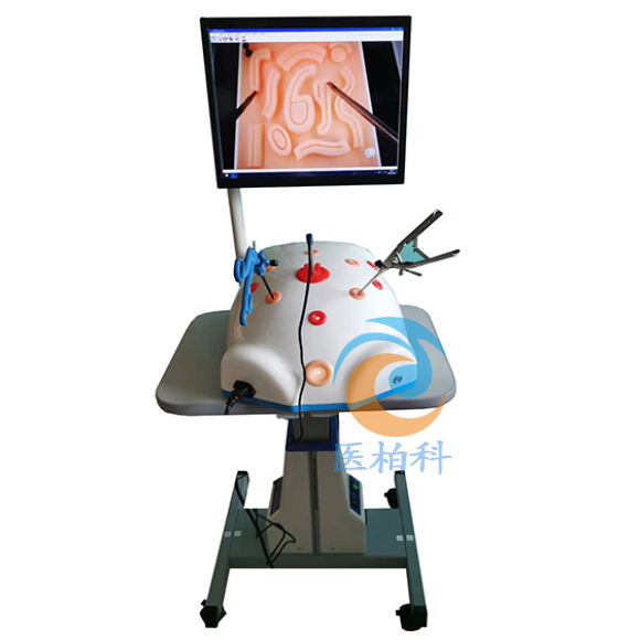 ��(n��i)�Q�Rģ�MӖ��ϵ�y(t��ng)