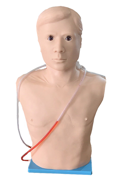 PICC�������Ӗ(x��n)��ģ��