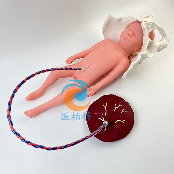 ��(d��ng)�B(t��i)�������a(ch��n)����ʾ��ģ��