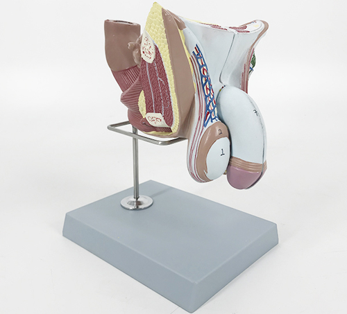 �߼�(j��)���ԃ�(n��i)����ֳ��ģ��4��