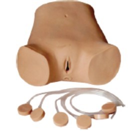 ��ǻ����Ӗ(x��n)��ģ��