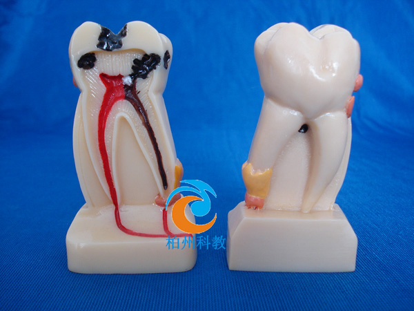 4�����w�C�ϲ���ģ��