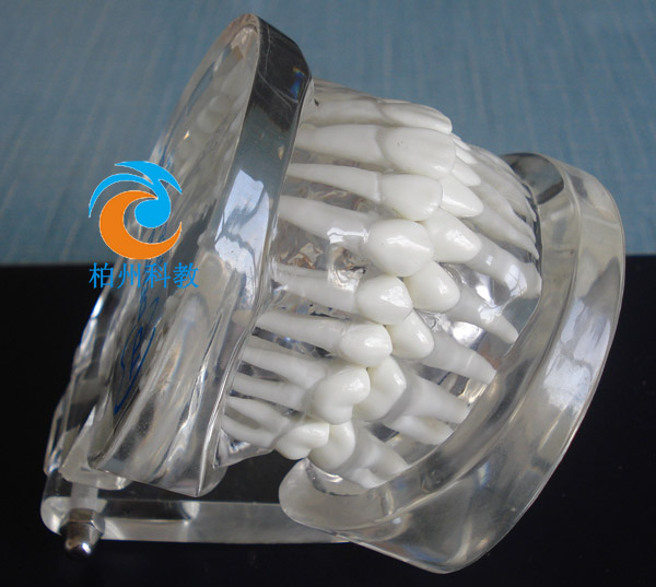 ��(bi��o)��(zh��n)ˮ������ģ��(���M��)