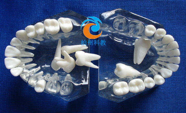 ��(bi��o)��(zh��n)ˮ������ģ��(ȫ�����ɲ�)