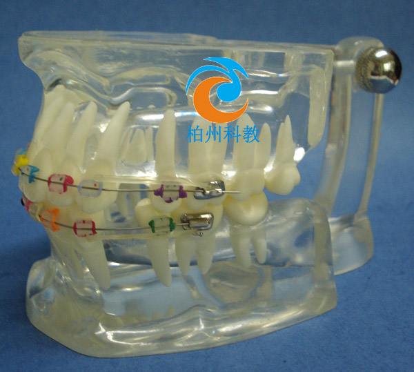 �C������ˮ������ģ��