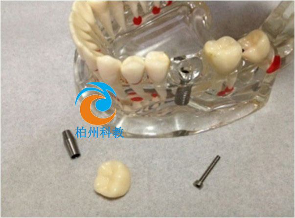 �C�ϲ���ˮ������ģ��(�ɲ�)