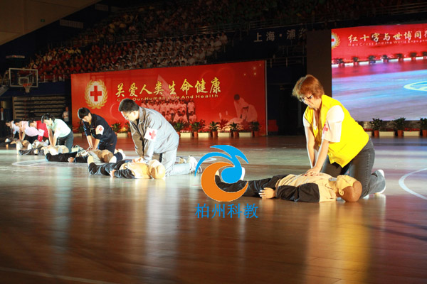 BIX/CPR680����ĻҺ�����@�߼�(j��)��X�ķΏ�(f��)�Kģ�M��