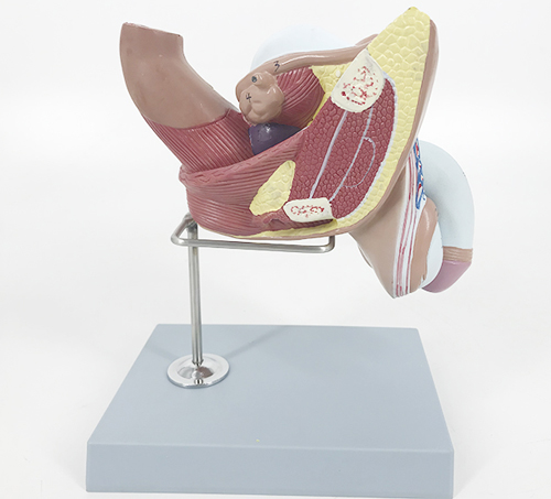 �߼�(j��)���ԃ�(n��i)����ֳ��ģ��4��