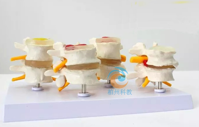 4�A�β��B(t��i)��׵���^ģ��