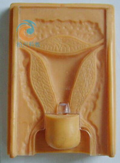 �ϭh(hu��n)Ӗ��ģ��