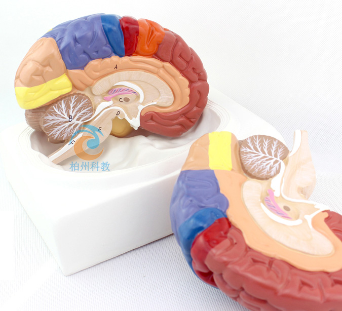 ���X���ܷօ^(q��)ģ��