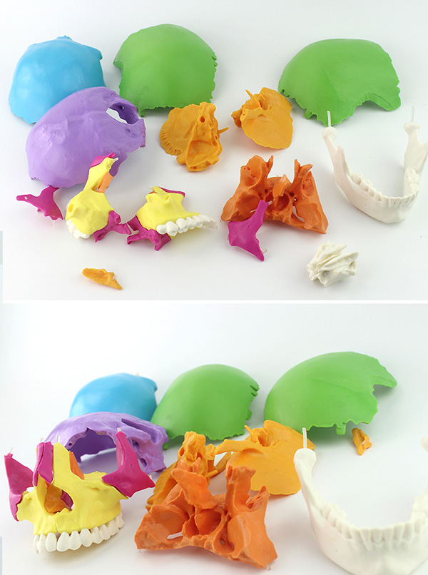 �ɲ���^��ģ�ͣ�22������