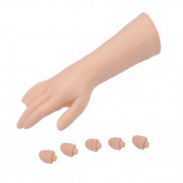 ��ָ��Ѫģ��