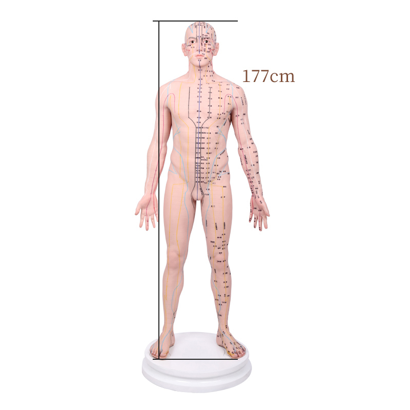 ����^(q��)��Ħ��ģ��17CM